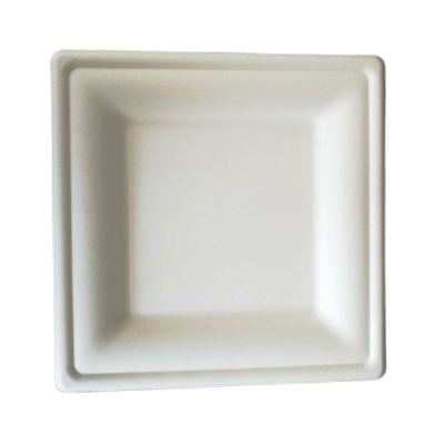 Square Plates-8" Biodegradable Bagasse Sugarcane Square Plate Compost Paper Plate