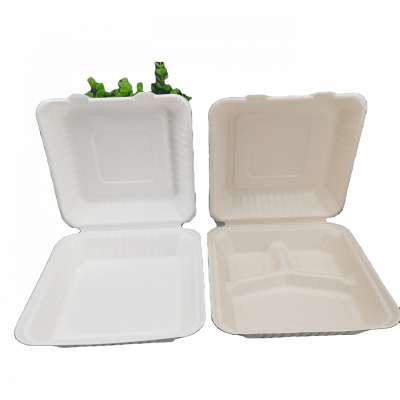 Hot Sale-8" Food Box-Biodegradable sugarcane bagasse food packaging takeaway box food Hinged Clamshell container