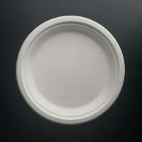 Disposable sugarcane bagasse dishes compostable biodegradable plates