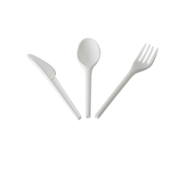 Biodegradable Disposable PLA Cutlery