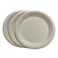 biodegradable Eco-friendly bagasse pulp paper plate